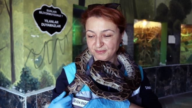 Ölümcül yılanlara anne şefkatiyle bakıyor
