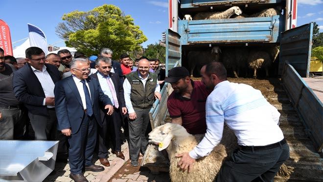 3 bin 200 adet koyun dağıtıldı