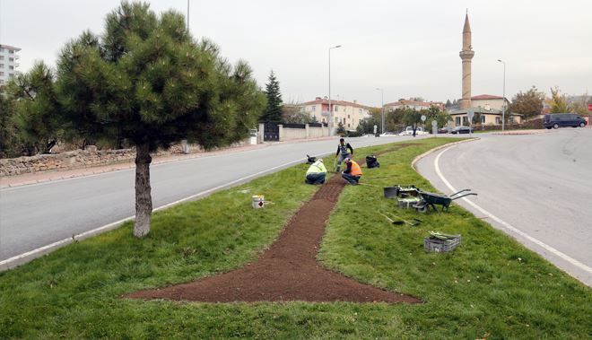 TALAS LALE VE SÜMBÜLLERLE SÜSLENECEK