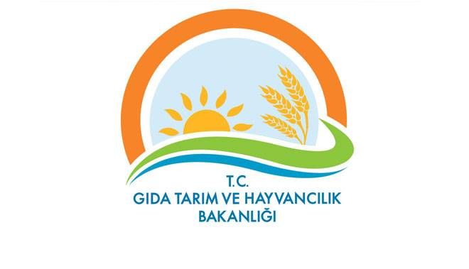 BAKANLIK TAKLİT VE TAĞŞİŞ YAPAN FİRMALARI AÇIKLADI