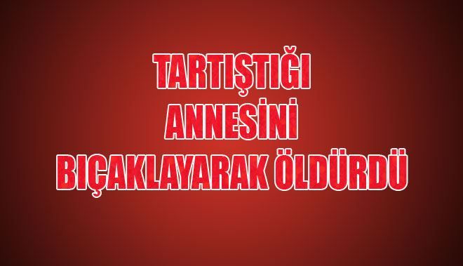 TARTIŞTIĞI ANNESİNİ BIÇAKLAYARAK ÖLDÜRDÜ