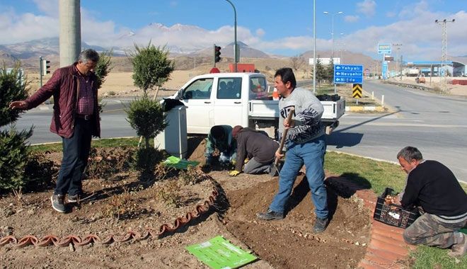 DEVELİ BELEDİYESİ 55 BİN ADET