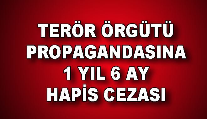 TERÖR ÖRGÜTÜ PROPAGANDASINA