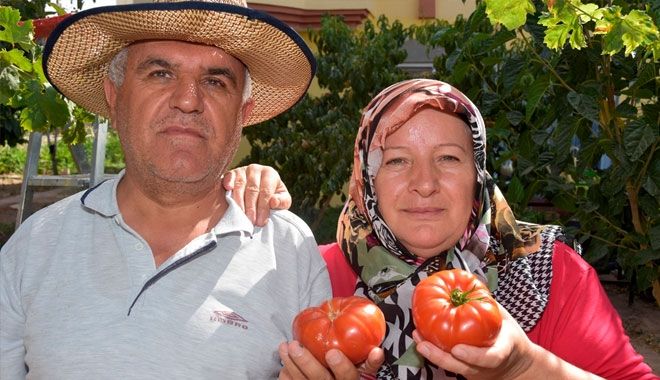 KOCASİNAN BELEDİYESİ´NİN DAĞITTIĞI FİDELER