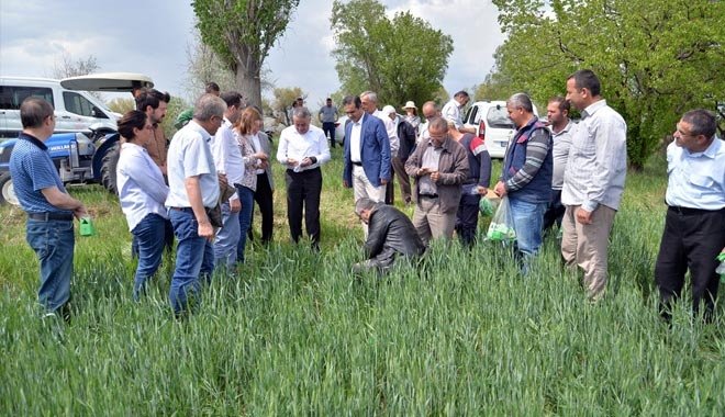 SÜNE İLE MÜCADELE İÇİN