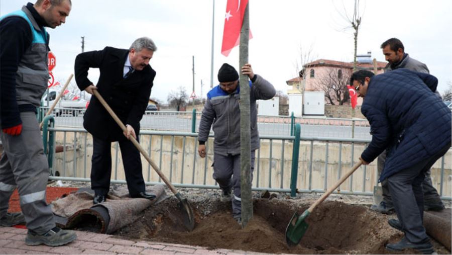 BAŞKAN PALANCIOĞLU PERSONEL İLE AĞAÇ DİKTİ