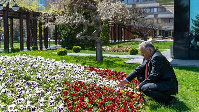 Türkiye’ye örnek ‘Yeşil Alan’ uygulaması