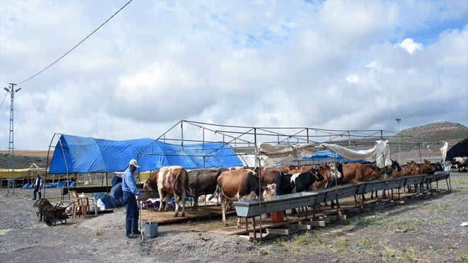 Kocasinan Belediyesi kurban pazarı tam not aldı