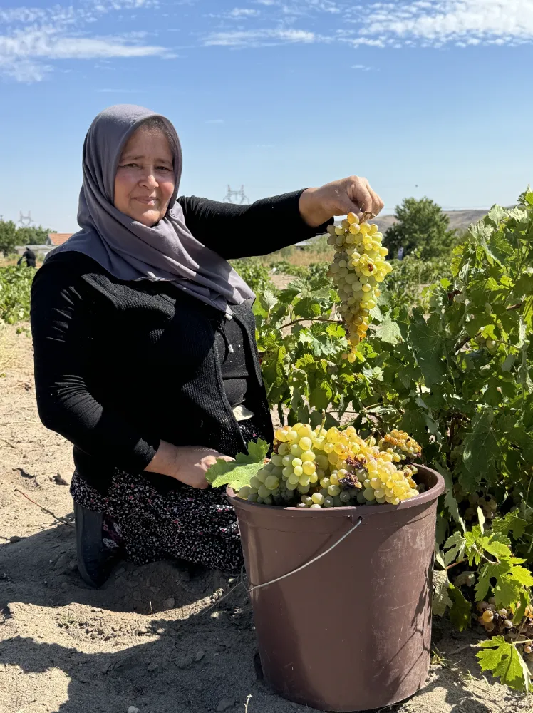 İç Anadolu kadınları iş başında