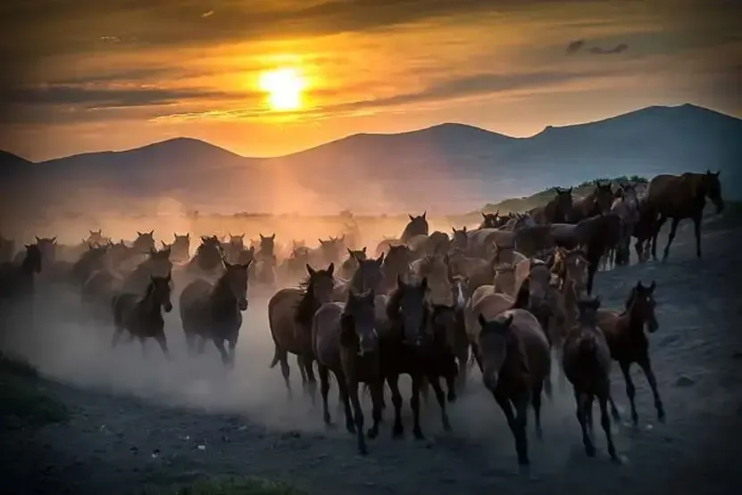 Hürmetçi Sazlığı için tanıtım projesi