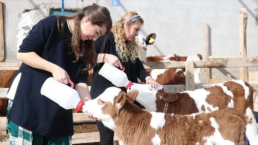 Gelin görümce kariyerlerini bırakıp çiftlik hayatına geçti