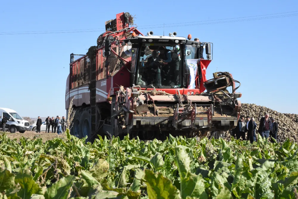 Şeker pancarı üretimi ilk defa 25 milyon tonu geçti