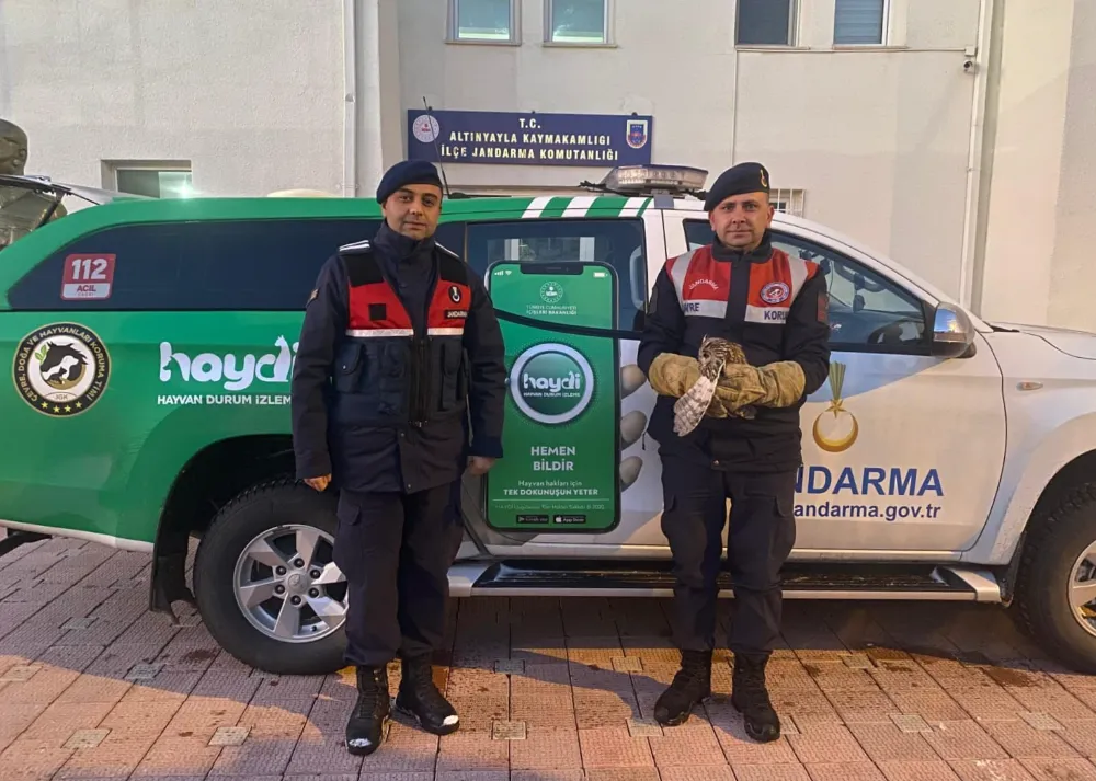 Jandarma, yaralı baykuşu tedavi ettirdi!