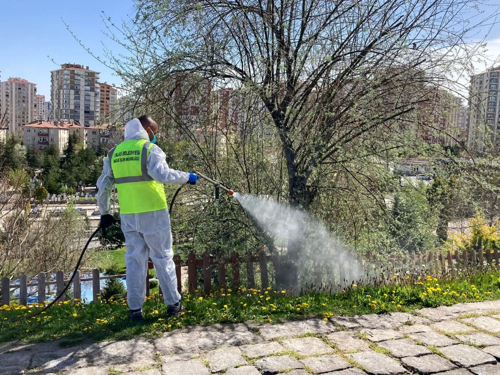 Talas’ta sinek ve haşerata erken önlem