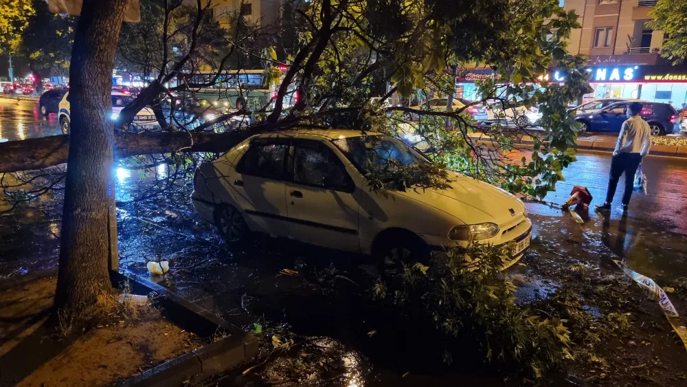 Fırtına ağaçları devirdi, araçlara zarar verdi