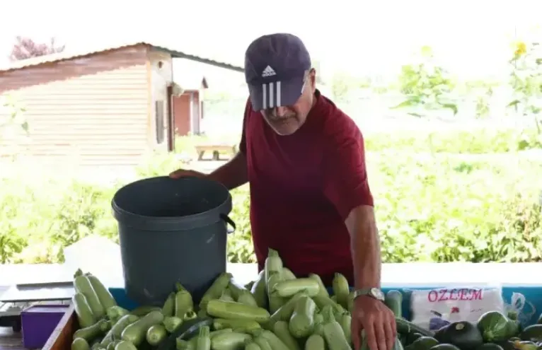 Kayseri Güncel Hal Fiyatları (26 Temmuz)