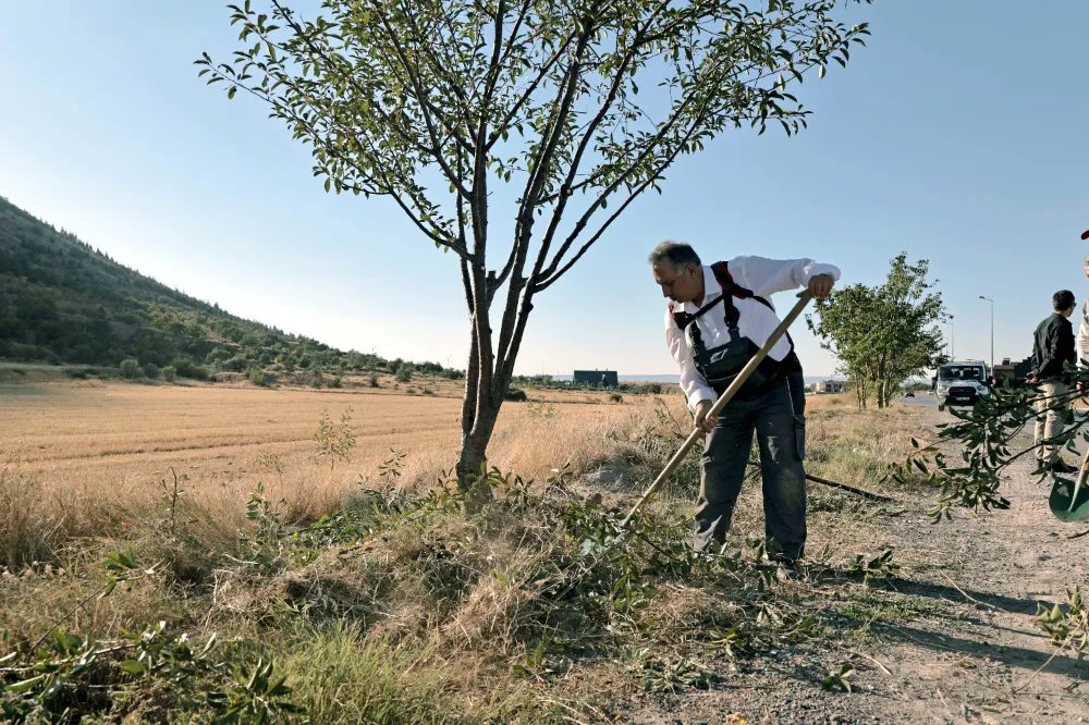 Başkan Yalçın, ağaçlara kendi elleriyle bakım yaptı