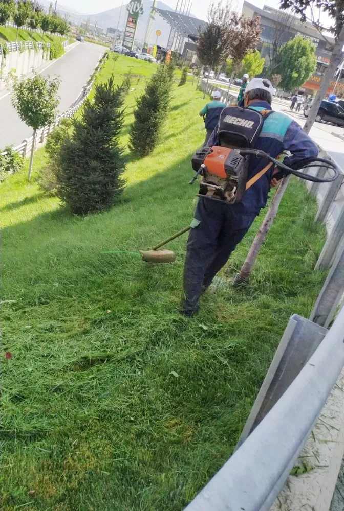 Yabancı otlarla mücadele ve bakım çalışmaları devam ediyor