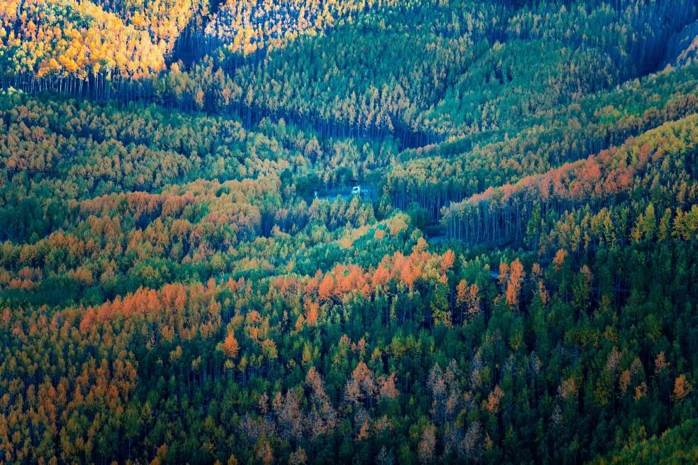 Doğaseverlerin Kayseri