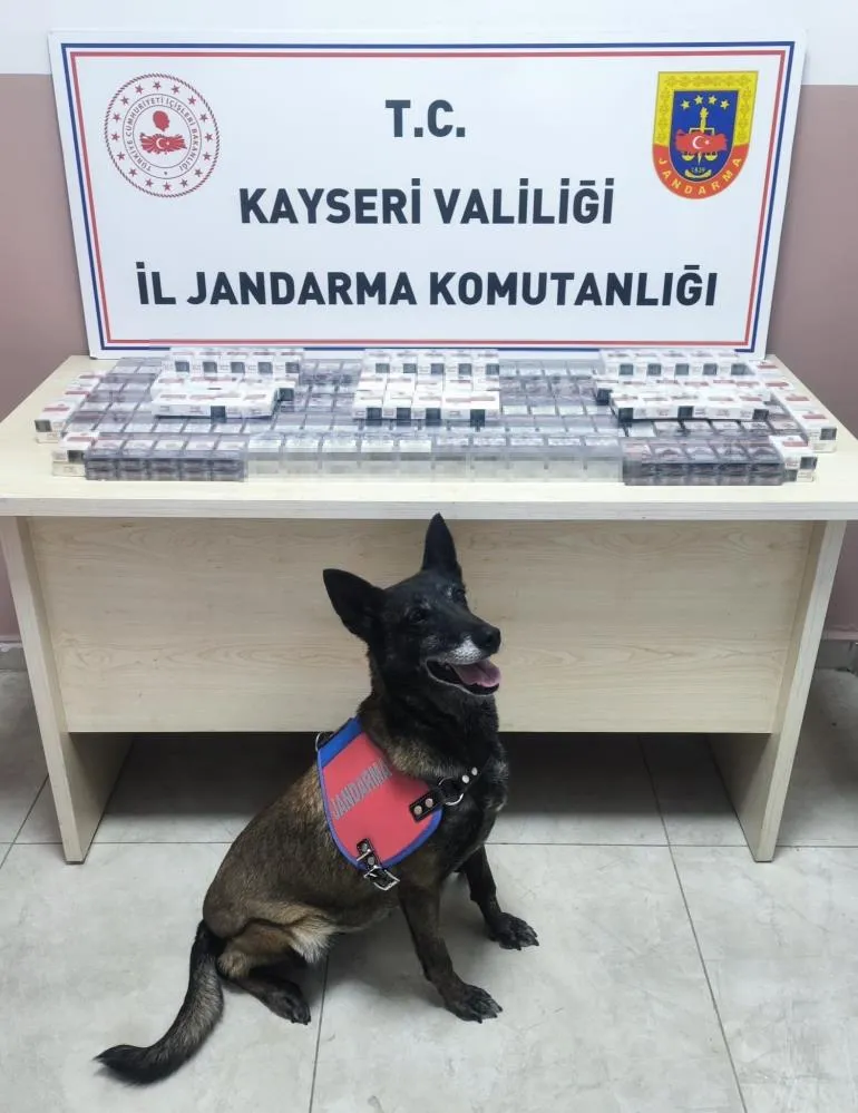 Durdurulan tırda 320 paket kaçak sigara ele geçirildi