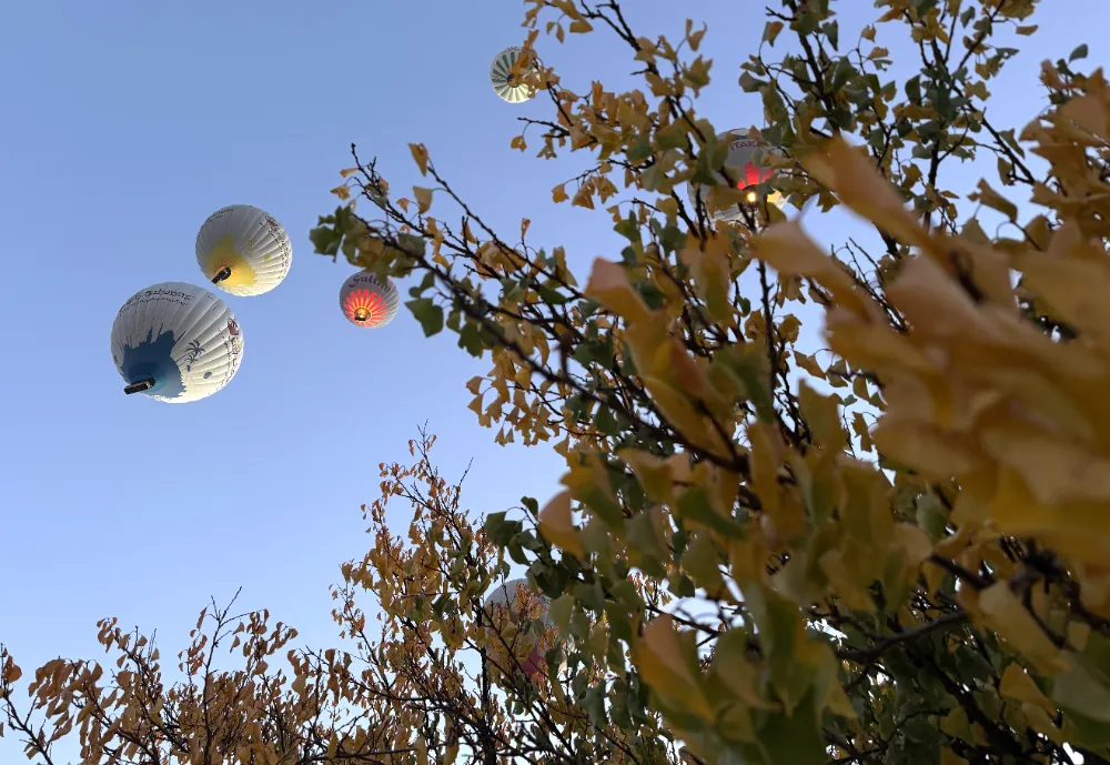 Sonbahar manzaraları Kapadokya