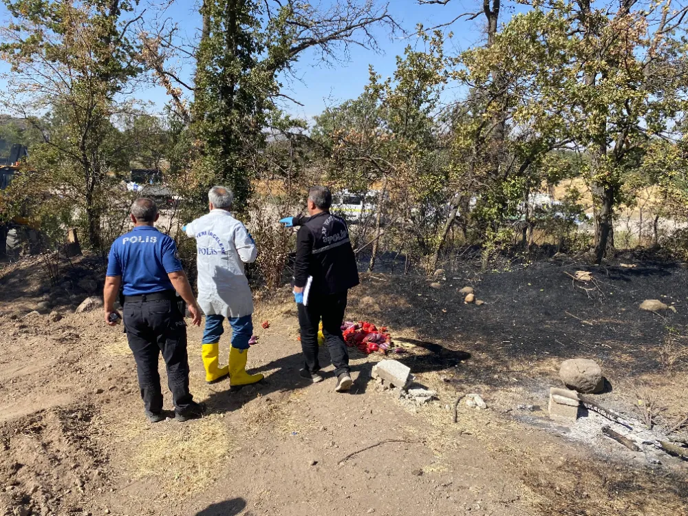 Patlıcan közlerken ormanı yaktılar