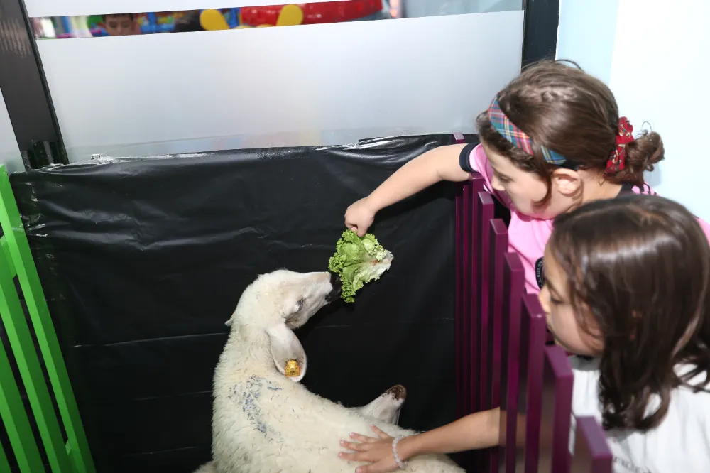 Çocuklar, kütüphaneye getirilen hayvanları besledi