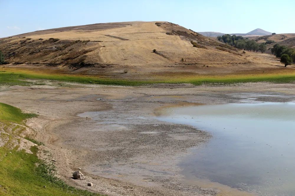 Tozlu Göleti kıyısında balık ölümleri görüldü