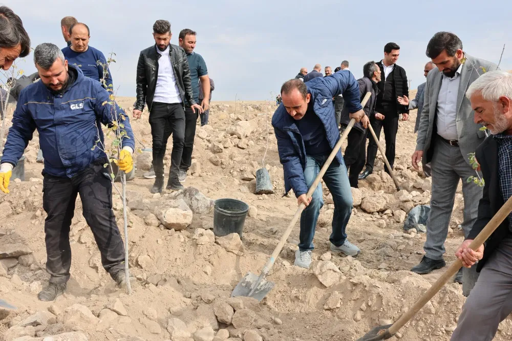 İncesu’da badem ve ayva ağaçları toprakla buluştu