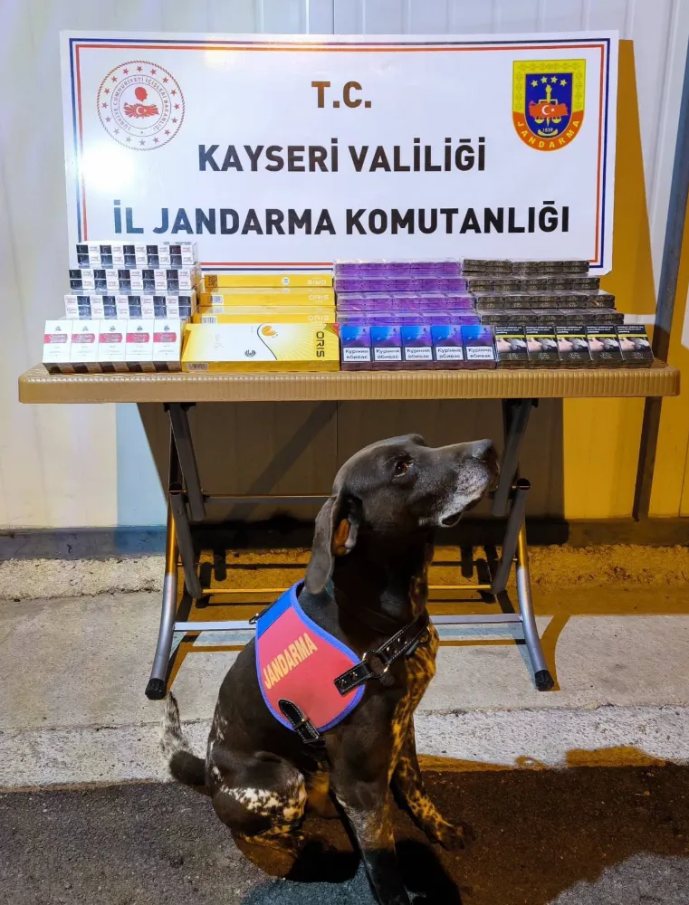 750 paket bandrolsüz kaçak sigara ele geçirildi