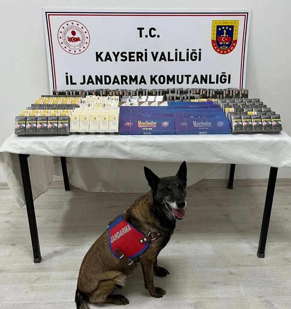 500 paket kaçak sigara ele geçirildi