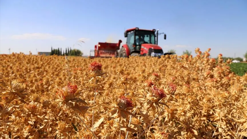 Kayseri, tarımsal üretimde Türkiye