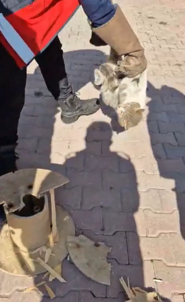 Kayseri itfaiyesi, ahşap makaraya sıkışan kediyi kurtardı