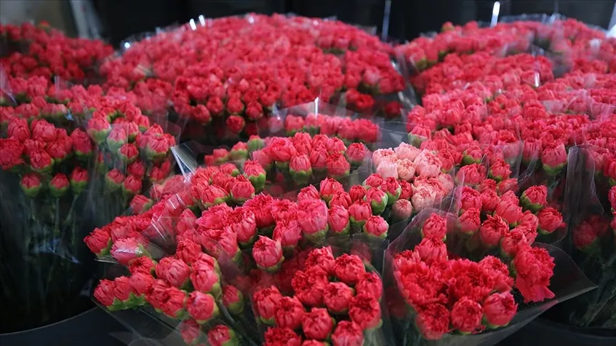 Dünya kadınlarına Türkiye