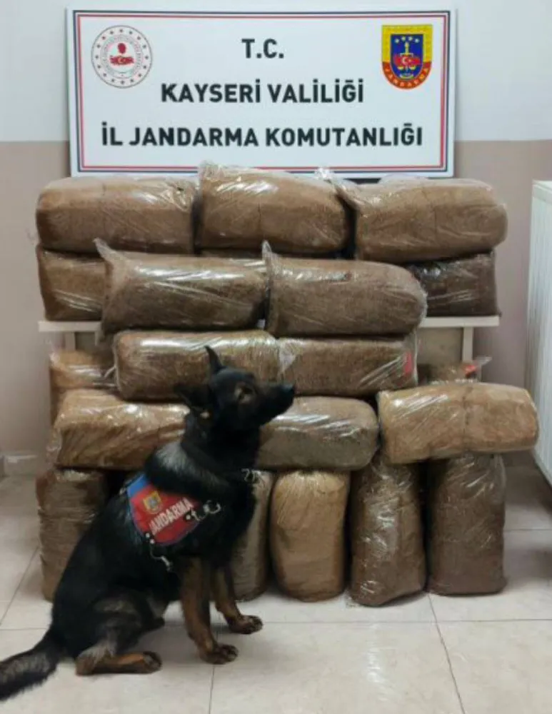 228 kilogram kaçak tütün ele geçirildi