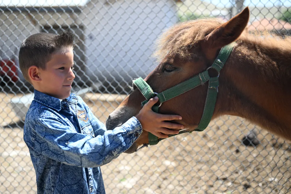 Kurtarılan taya sevgi dolu bakım