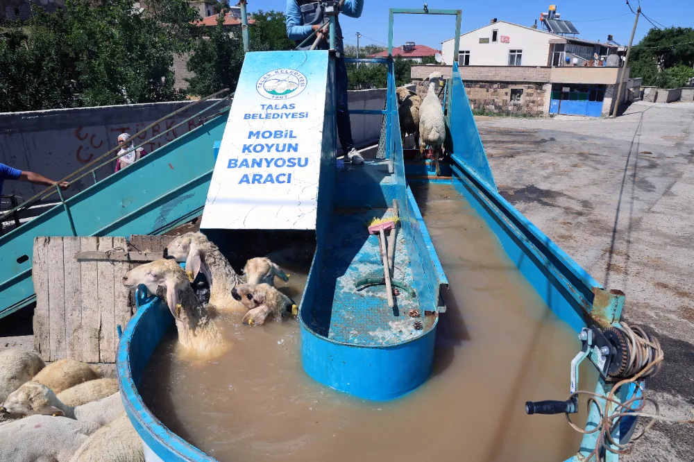 Hayvanlara keneye karşı 