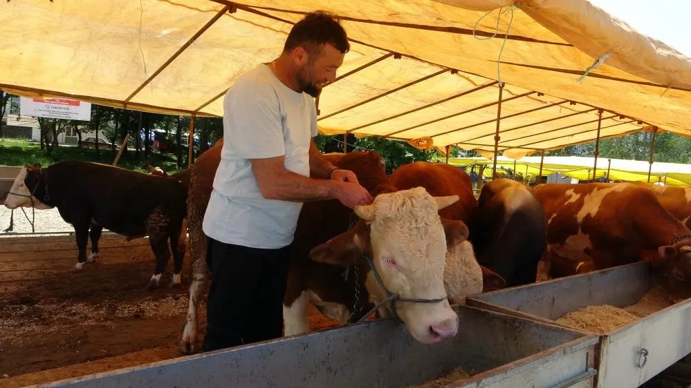 Hayvan pazarlarına kilit vuruldu!