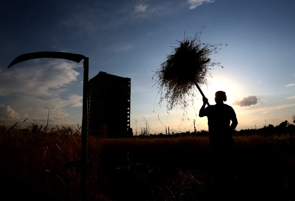 Binaların arasında köy hayatı yaşıyor