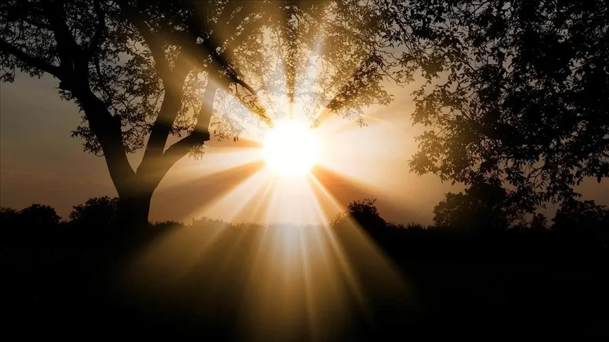 Orman Genel Müdürlüğü, 5 yıllık yol haritası hazırladı