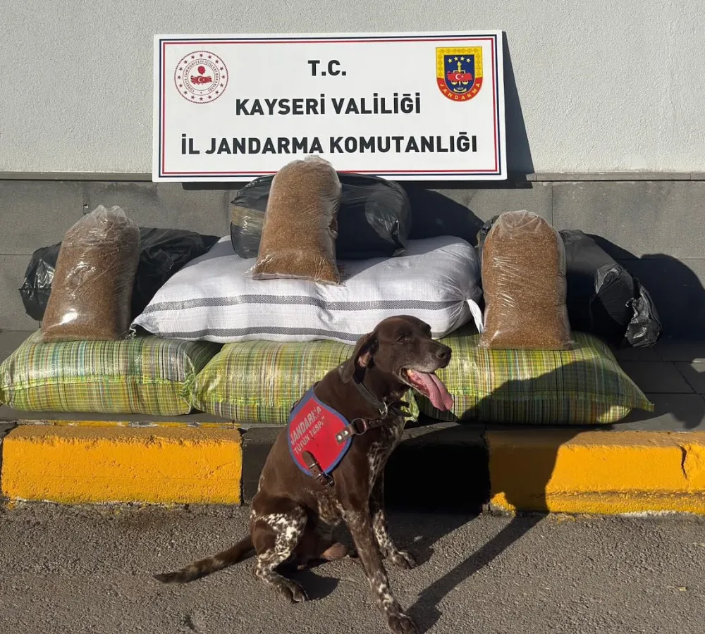 Yolcu otobüsünde kaçak tütün ele geçirildi