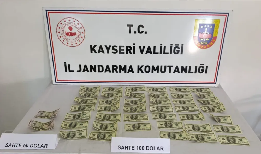 Sahte dolar operasyonunda 1 kişi yakalandı
