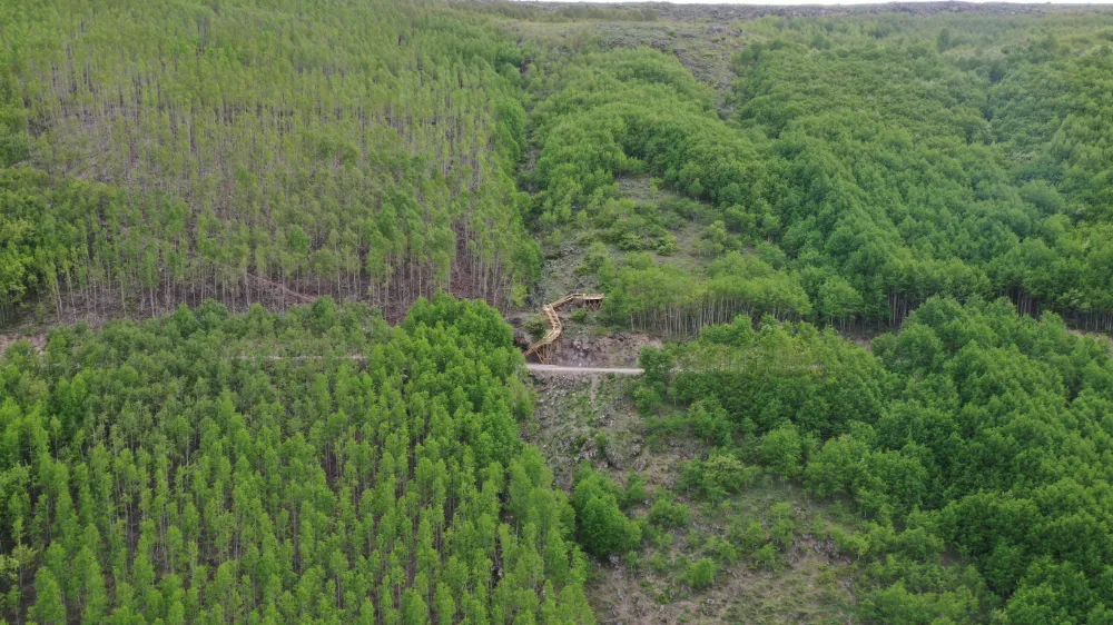 Şehrin gürültüsünden kaçış noktası: Ortaseki Ormanları