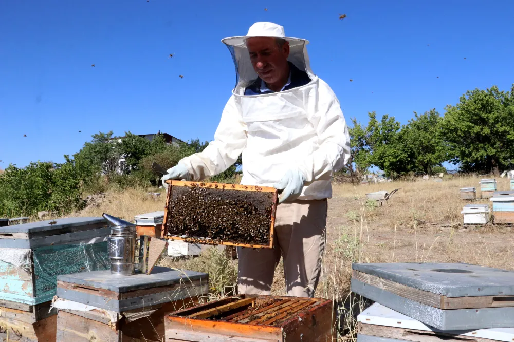 Mobilya işini bırakıp arıcılığa başladı, 25 yılda 400 kovana ulaştı