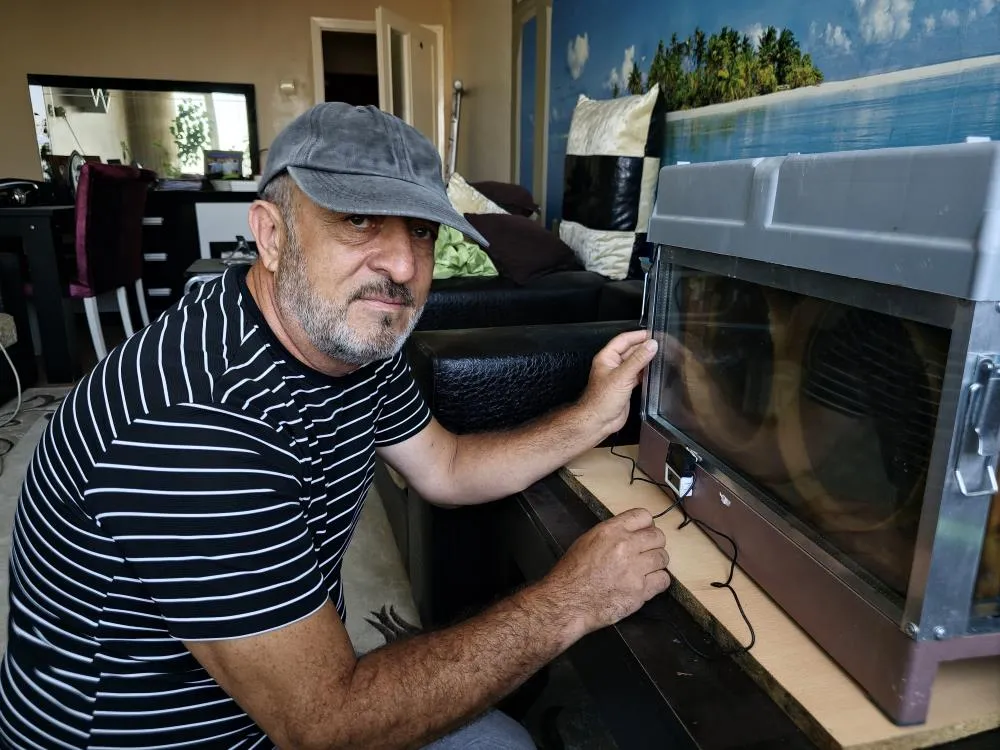 Vızır vızır çalışan arılar 15. kata bal götürüyor