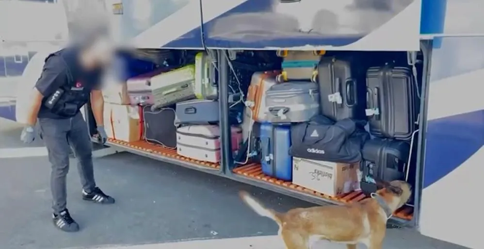 Torbacılara eş zamanlı operasyon: 1 gözaltı