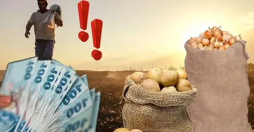 Kayseri çiftçisine müjde! Patates ve soğana altın destek!
