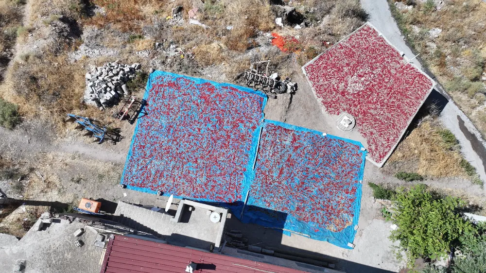 Cırgalan biberi sofralara lezzet katıyor