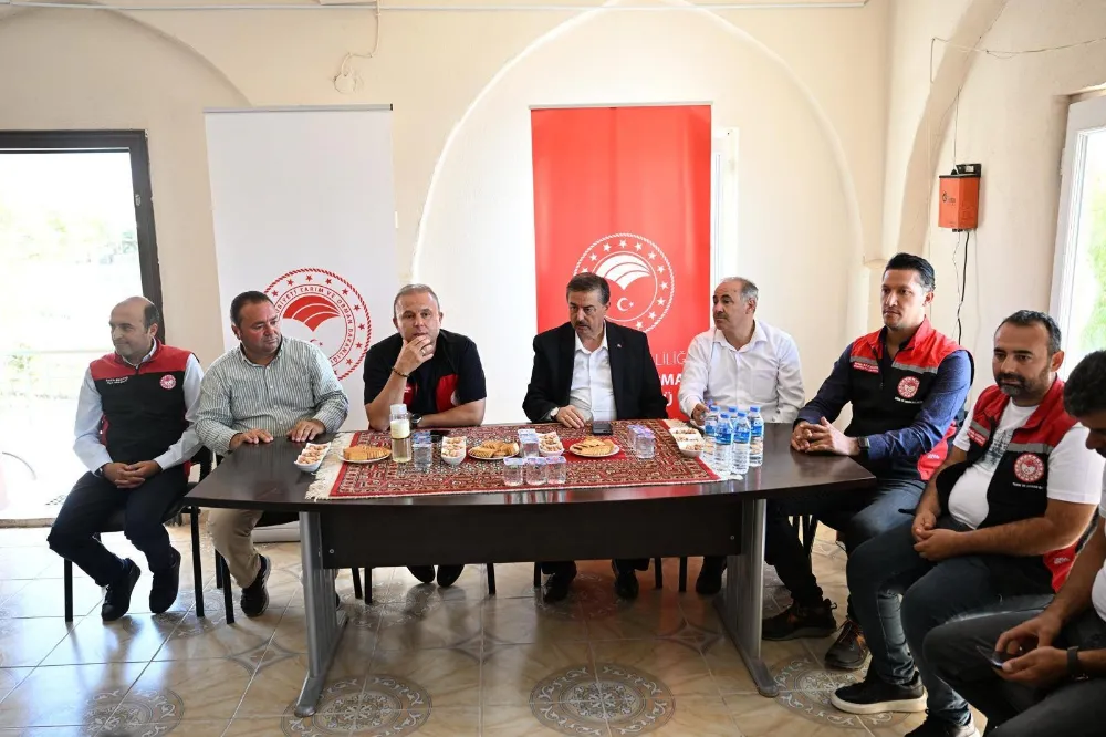 Büyükşehir ve valilikten Sultan Sazlığı