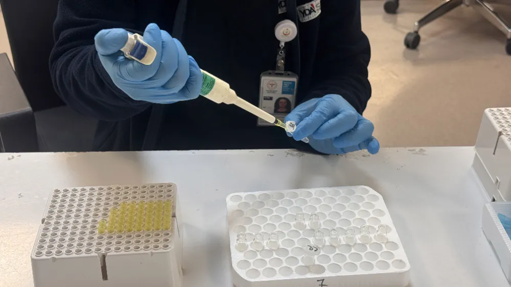 Yasa dışı madde analizinde 